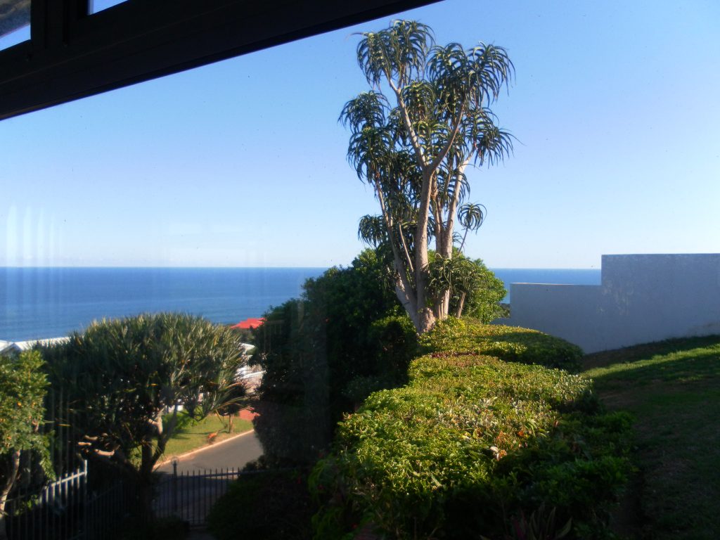 View From the Front Door